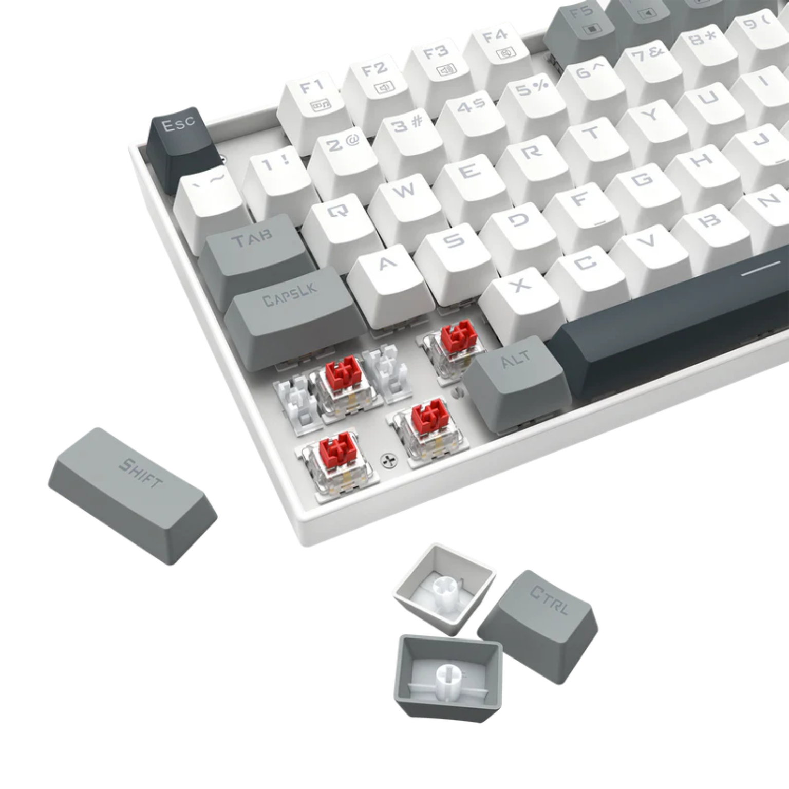K552WGL-RGB8180KUMARA-6