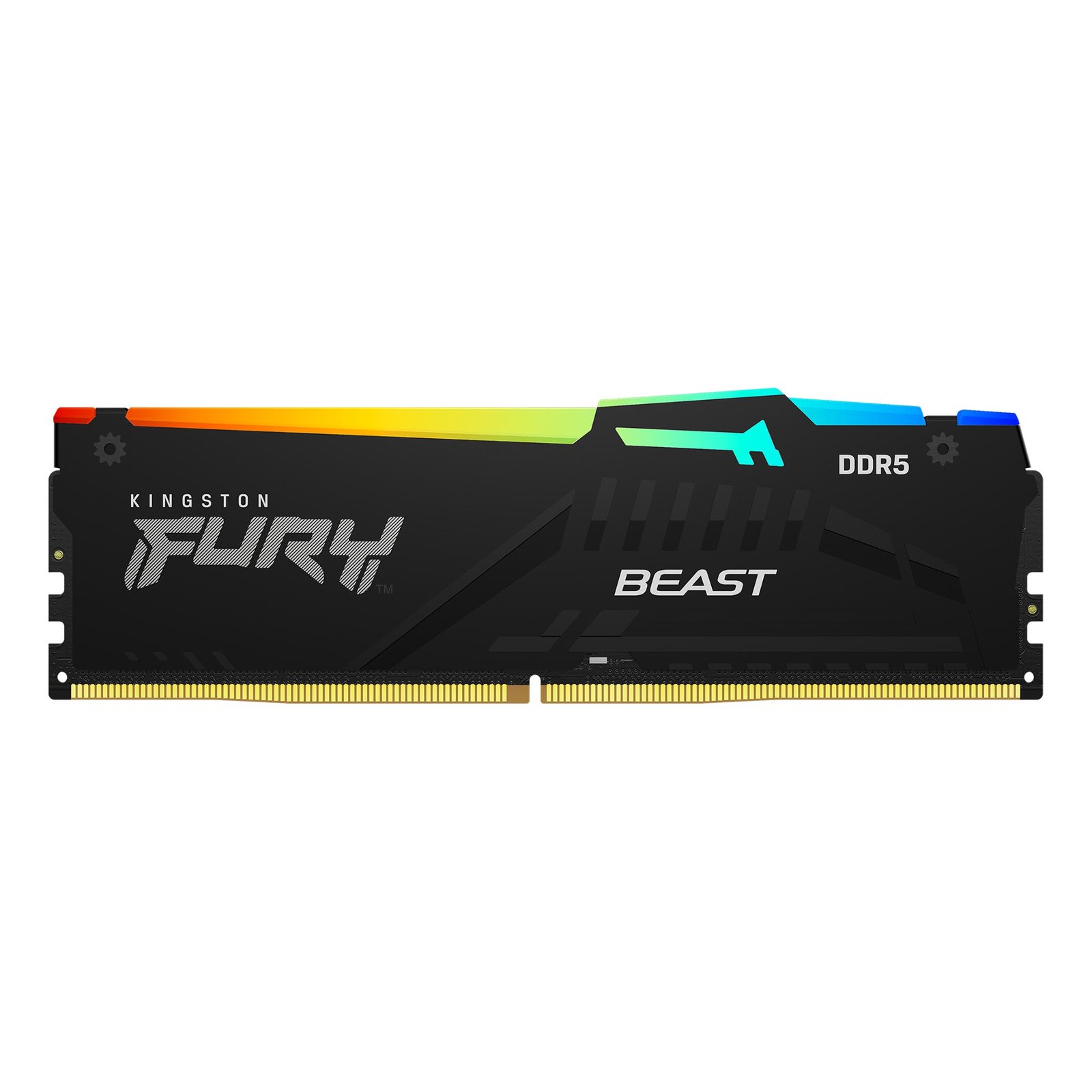 FURY_Beast_Black_RGB_DDR5_1-zm-lg