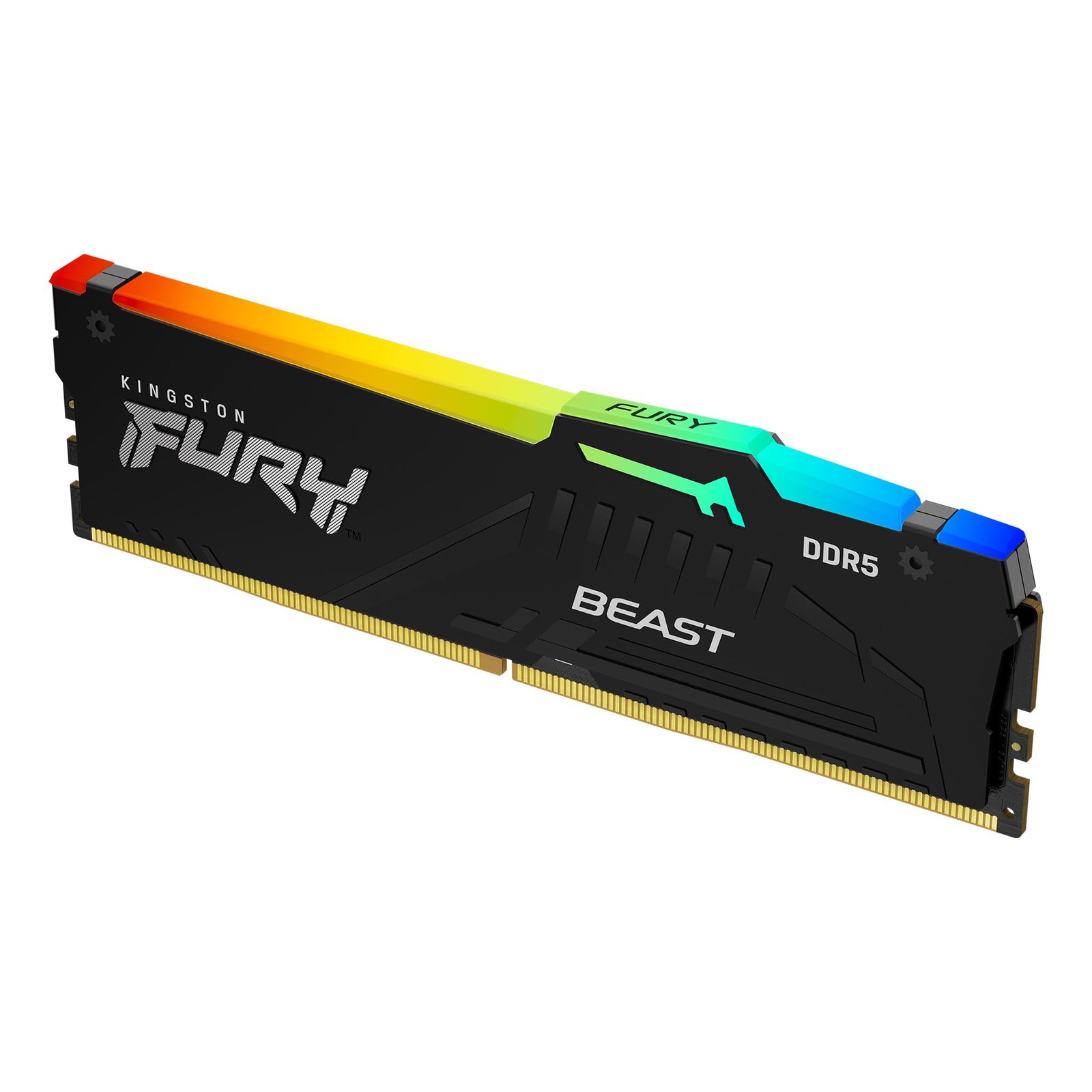 FURY_Beast_Black_RGB_DDR5_1_angle-zm-lg